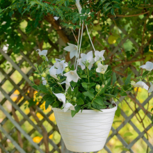 Doniczka wisząca MELROSE 26cm biała
